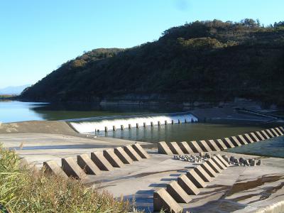 大河津分水 寺泊野積