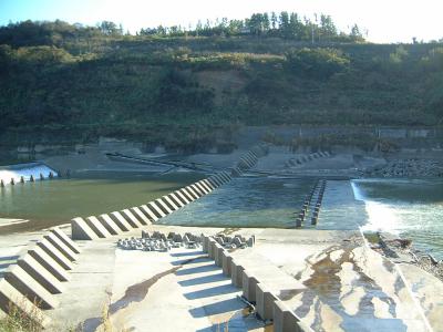 大河津分水 寺泊野積