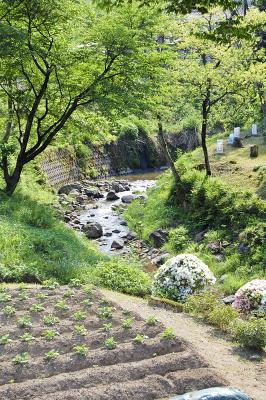 高寿館 - 橋