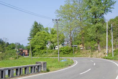学校脇の県道