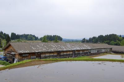 入東小学校 2