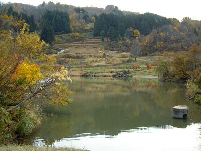 杜々の森名水公園