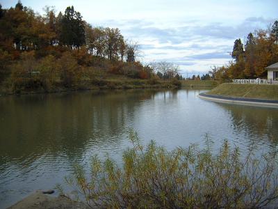 杜々の森名水公園