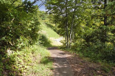 道院高原 かねたたきの池