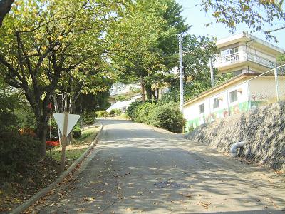 島田小学校 (061015)