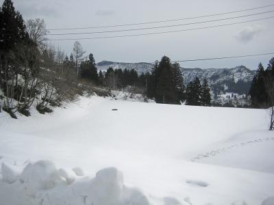 種苧原 - 雪原