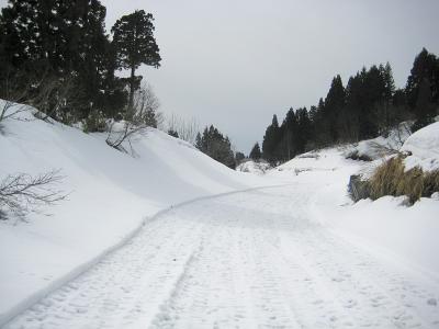 種苧原 - 雪原