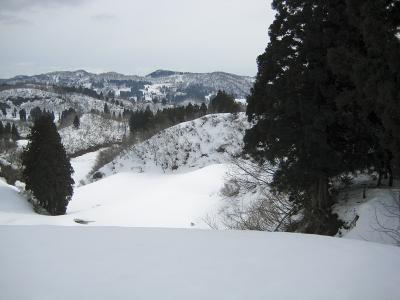 種苧原 - 雪原