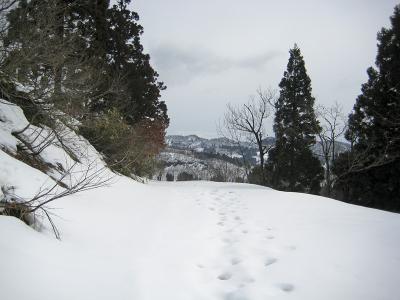 種苧原 - 雪原