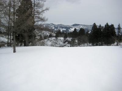 種苧原 - 雪原