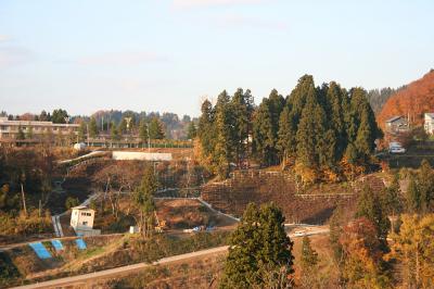 山古志竹沢 - 棚田