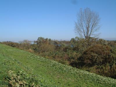 信濃川（岩方）