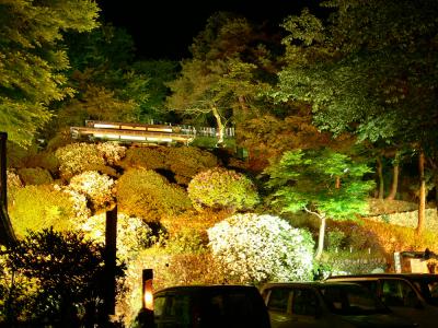 楽山苑 ライトアップ