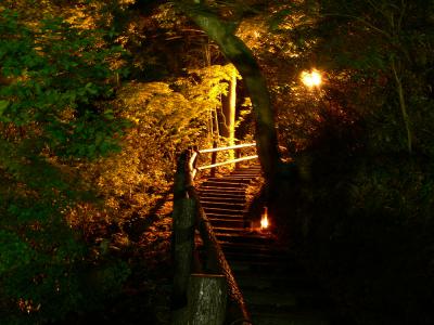 楽山苑 ライトアップ